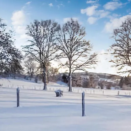 Les Brumes מנהיי